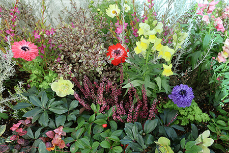 鴨川東　花々の家