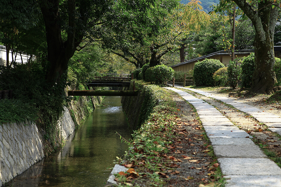 京都の哲学の道と緑