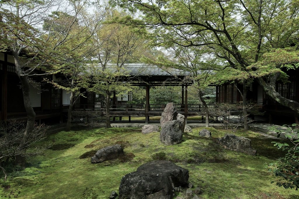 京都の建仁寺の潮音庭