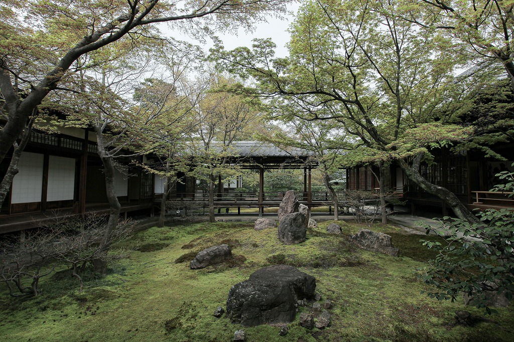 京都の建仁寺の潮音庭