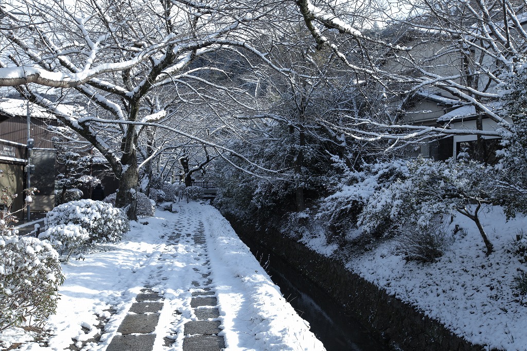 哲学の道の雪