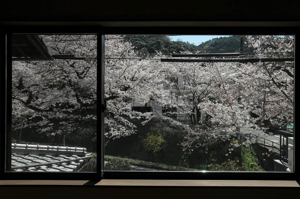 哲学の道に面するリノベーション京町家物件のLDKと桜の眺望