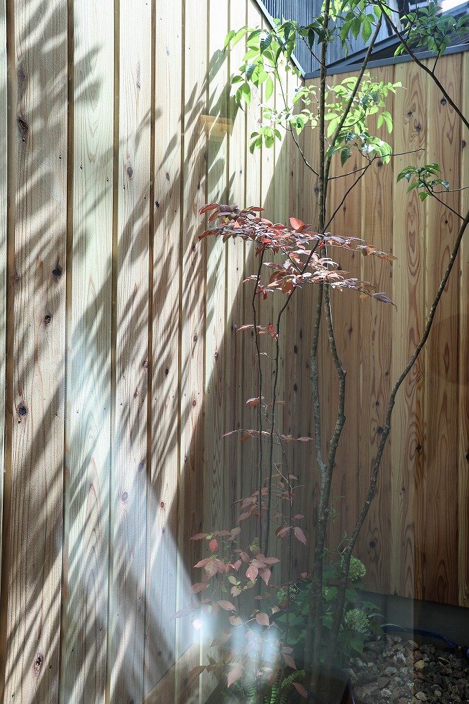 京都の賀茂川近くのリノベーション中古テラスハウス物件の庭