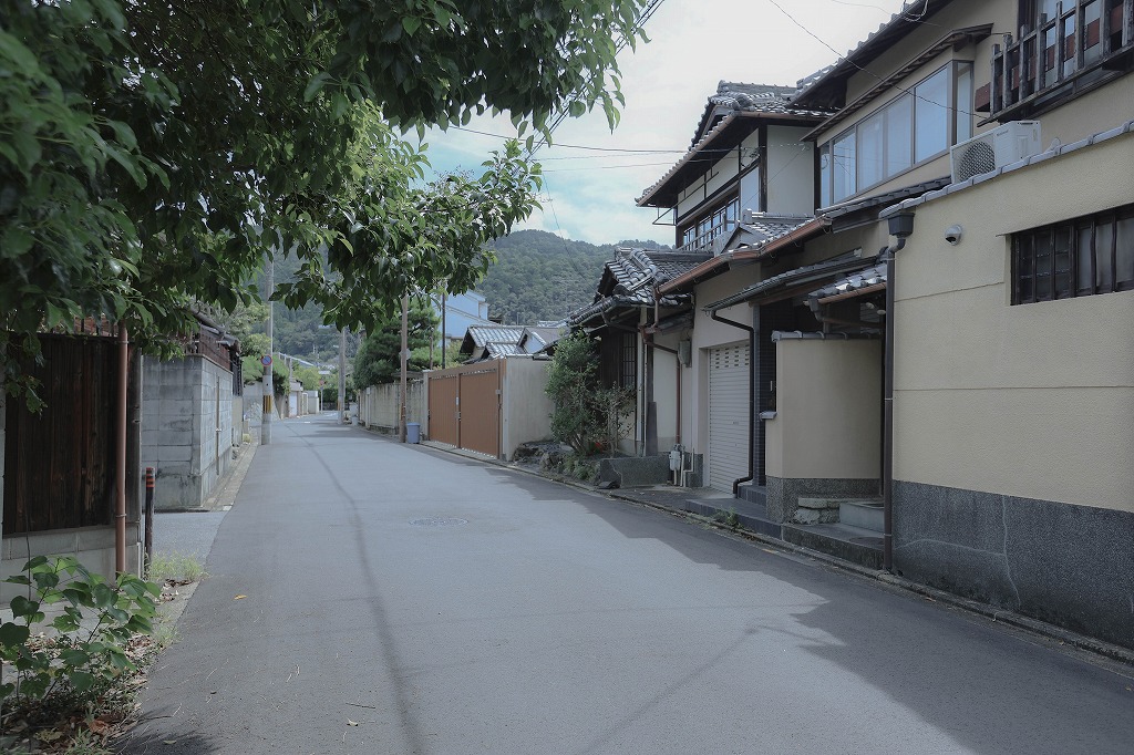 京都の左京区岡崎エリアの中古物件の前道
