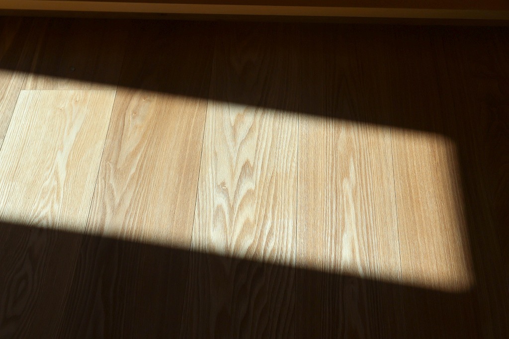 庭のある京都のリノベーション中古物件